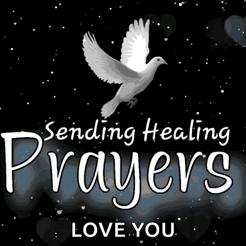 A Picture Of A Dove With The Words " Sending Healing Prayers Love You " GIF