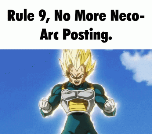 A Picture Of A Dragon Ball Z Character With The Words Rule 9 No More Neco Arc Posting GIF