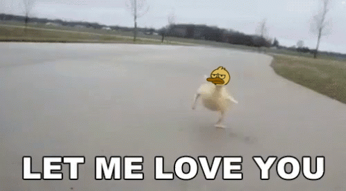 A Picture Of A Duck On A Road With The Words Let Me Love You GIF