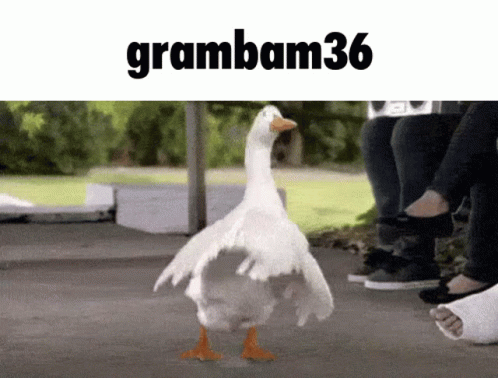 A Picture Of A Duck With The Name Grambam36 On The Top GIF