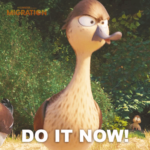 A Picture Of A Duck With The Words Do It Now Written Below It GIF