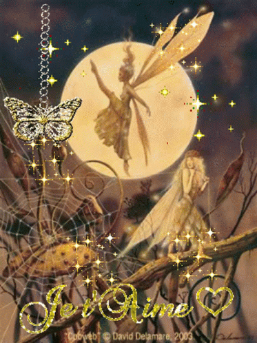 A Picture Of A Fairy With The Words Je T'aime Written On It GIF