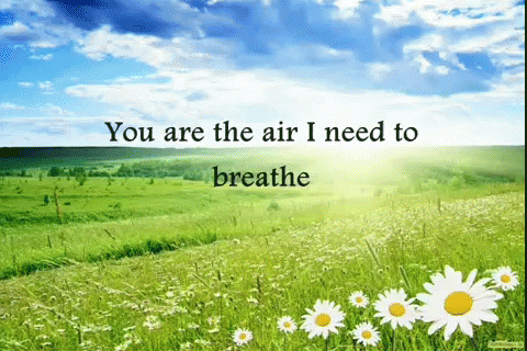 A Picture Of A Field Of Daisies With The Words " You Are The Air I Need To Breathe " GIF
