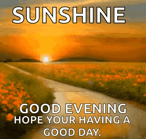 A Picture Of A Field Of Flowers With The Words " Sunshine Good Evening Hope Your Having A Good Day " GIF