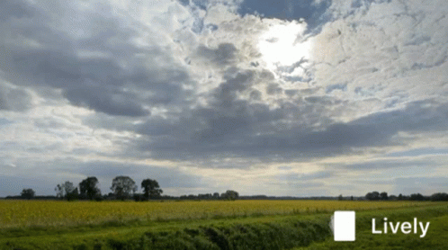 A Picture Of A Field With The Word Lively On The Bottom Right GIF