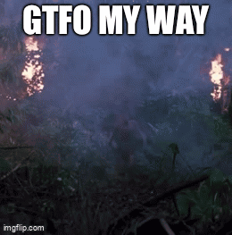 A Picture Of A Fire With The Words Gtfo My Way GIF