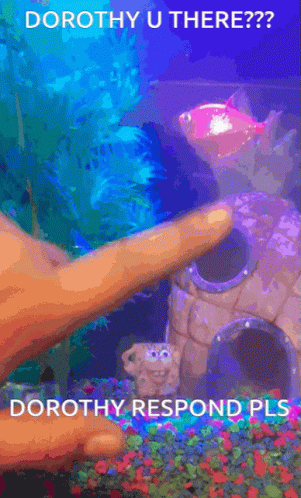 A Picture Of A Fish Tank With The Words Dorothy U There On It GIF