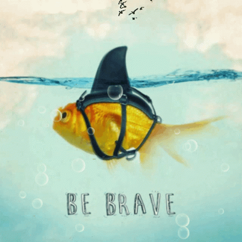 A Picture Of A Fish With A Shark Fin And The Words Be Brave GIF