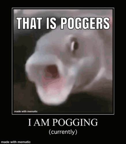A Picture Of A Fish With Its Mouth Open And The Caption That Is Poggers I Am Pogging Currently GIF