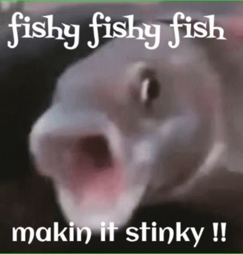A Picture Of A Fish With Its Mouth Open And The Words Fishy Fishy Fish Makin It Stinky GIF