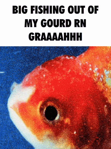 A Picture Of A Fish With The Caption Big Fishing Out Of My Gourd Rn Graaaahhh GIF