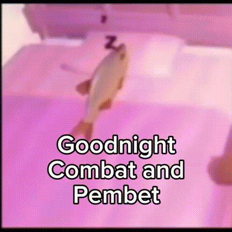 A Picture Of A Fish With The Words Goodnight Combat And Pembet On It GIF