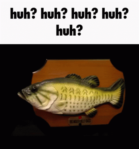A Picture Of A Fish With The Words Huh Huh Huh Huh On It GIF