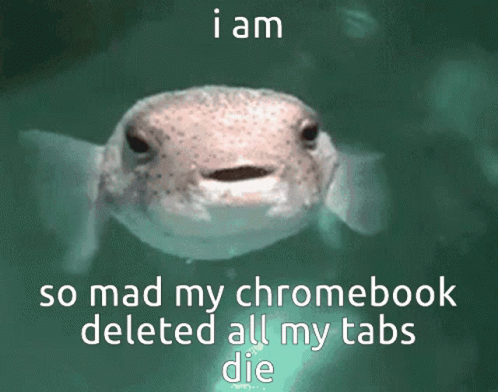 A Picture Of A Fish With The Words I Am So Mad My Chromebook Deleted All My Tabs Die Below It GIF