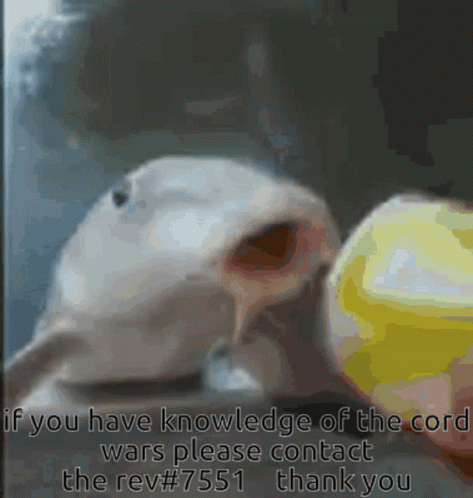 A Picture Of A Fish With The Words " If You Have Knowledge Of The Cord Wars Please Contact The Rev # 7551 Thank You " Be GIF