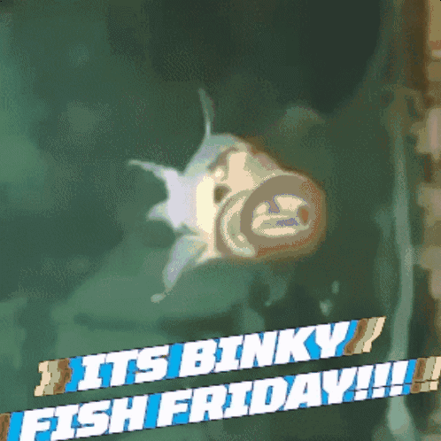 A Picture Of A Fish With The Words It 'S Binky Fish Friday Below It GIF
