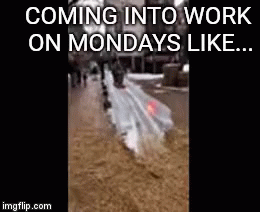 A Picture Of A Flooded Street With The Words Coming Into Work On Mondays Like .. GIF
