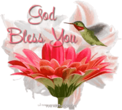 A Picture Of A Flower And A Hummingbird With The Words God Bless You GIF