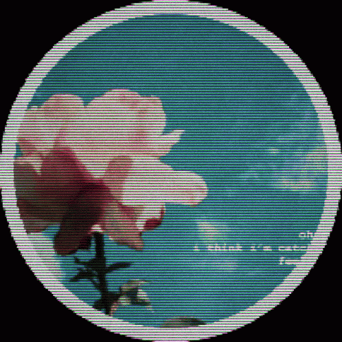 A Picture Of A Flower In A Circle With The Words " I Think I 'M Crazy " Below It GIF
