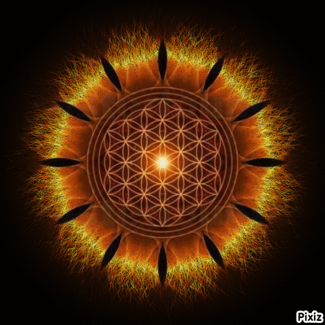 A Picture Of A Flower Of Life With Pixiz Written Below It GIF