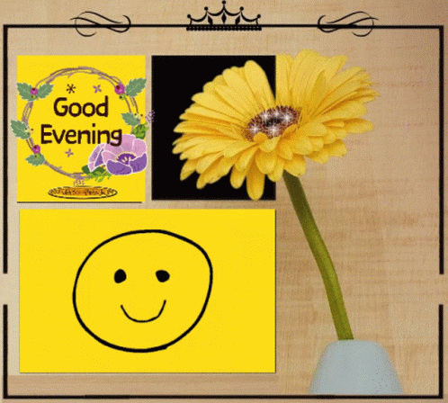 A Picture Of A Flower With A Smiley Face And The Words Good Evening GIF