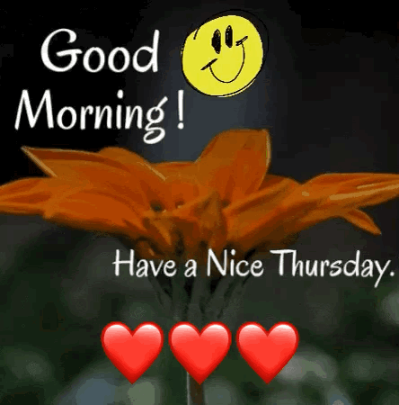 A Picture Of A Flower With The Words Good Morning Have A Nice Thursday . GIF