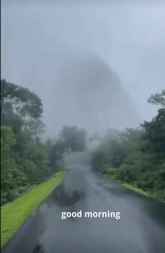 A Picture Of A Foggy Road With The Words Good Morning On The Bottom GIF