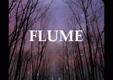 A Picture Of A Forest With The Word Flume Written On It GIF