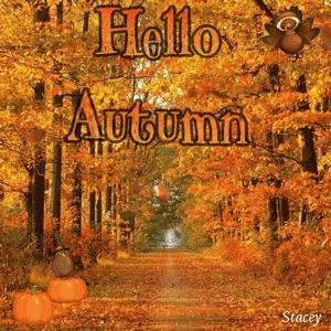 a picture of a forest with the words hello autumn