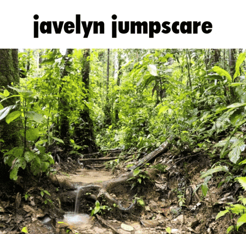 A Picture Of A Forest With The Words Javelyn Jumpscare GIF