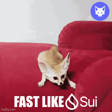 A Picture Of A Fox On A Red Couch With The Words Fast Like Sui GIF