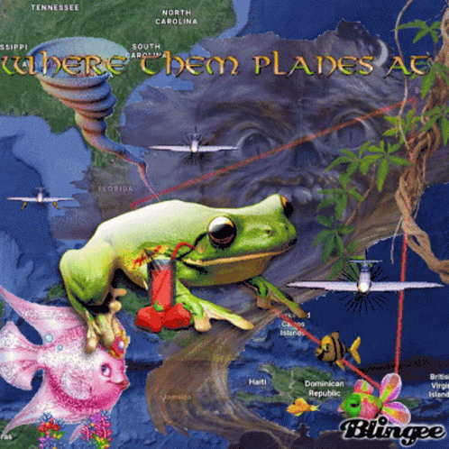 A Picture Of A Frog On A Map With The Words Where Them Planes Are GIF