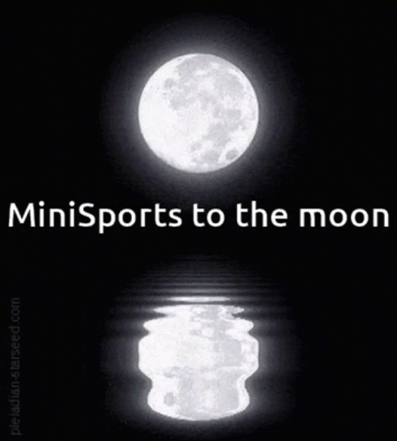 A Picture Of A Full Moon With The Words Minisports To The Moon Above It GIF