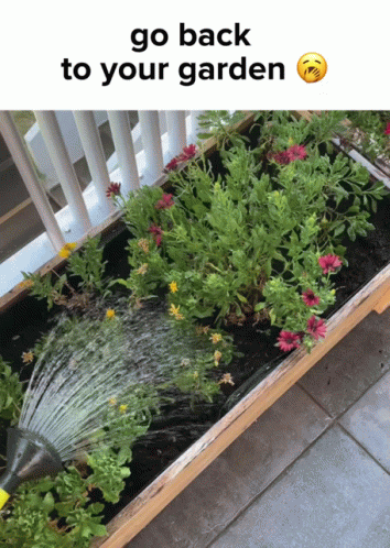 A Picture Of A Garden With The Words Go Back To Your Garden On The Bottom GIF