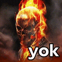 A Picture Of A Ghost Rider With Fire Coming Out Of His Head And The Words Yok On The Bottom . GIF