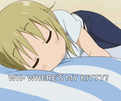 A Picture Of A Girl Laying On A Bed With The Words Wh-Where 'S My Kitty GIF
