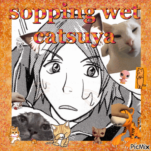 A Picture Of A Girl Surrounded By Cats With The Words Sopping Wet Catsuwa GIF