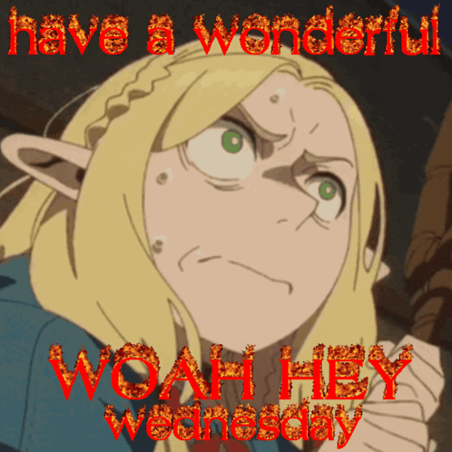 A Picture Of A Girl With The Words Have A Wonderful Woah Hey Wednesday Written In Red GIF