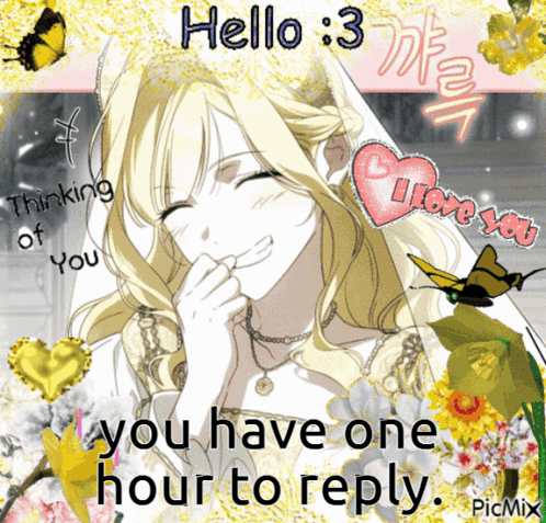 A Picture Of A Girl With The Words Hello 3 You Have One Hour To Reply On The Bottom GIF