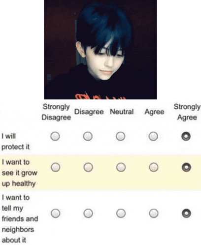 A Picture Of A Girl With The Words Strongly Disagree And Strongly Agree Below It GIF