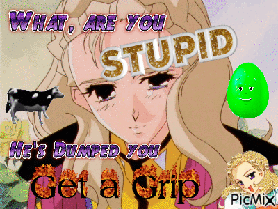 A Picture Of A Girl With The Words What Are You Stupid He 'S Dumped You Get A Grip On It GIF
