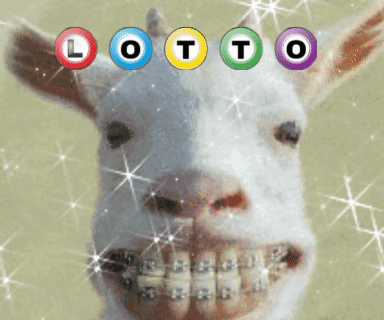 A Picture Of A Goat With Braces And The Word Lotto Written Above It GIF