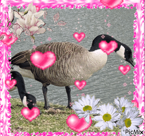 A Picture Of A Goose Surrounded By Pink Hearts And Flowers With Picmix Written On The Bottom GIF
