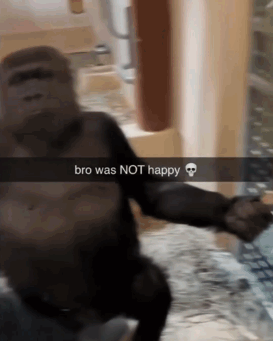 a picture of a gorilla with the words bro was not happy