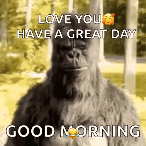 A Picture Of A Gorilla With The Words Love You Have A Great Day Good Morning GIF