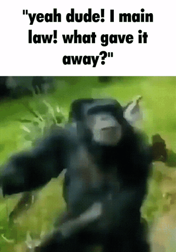 A Picture Of A Gorilla With The Words " Yeah Dude I Main Law What Gave It Away " GIF