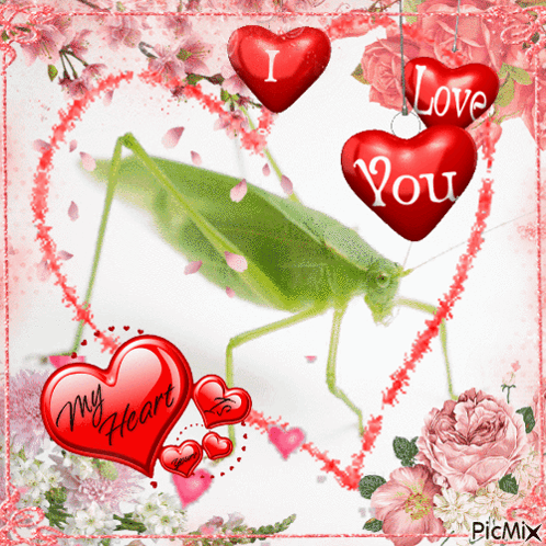 a picture of a grasshopper surrounded by hearts that say " i love you "