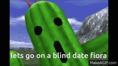 A Picture Of A Green Cactus With The Words Let 'S Go On A Blind Date Fiora Below It GIF