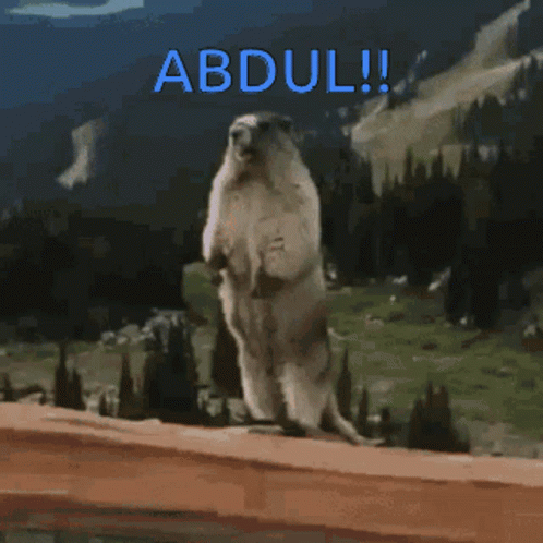 A Picture Of A Ground Squirrel Standing On Its Hind Legs With The Name Abdul Written Above It GIF