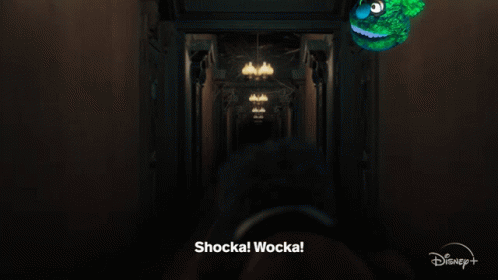 A Picture Of A Hallway With The Words Shocka Wocka On The Bottom Right GIF